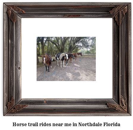 horse trail rides near me in Northdale, Florida